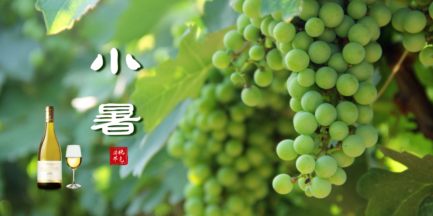 小暑，消暑，你選哪一個(gè)？