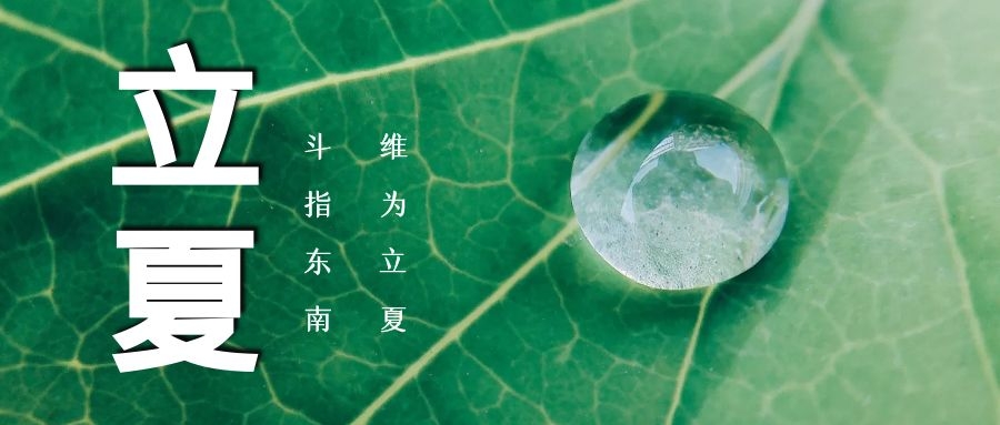 立夏 ▏綠蔭濃，夏日長