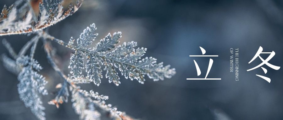 立冬 ▎朔風(fēng)始起，萬物境藏