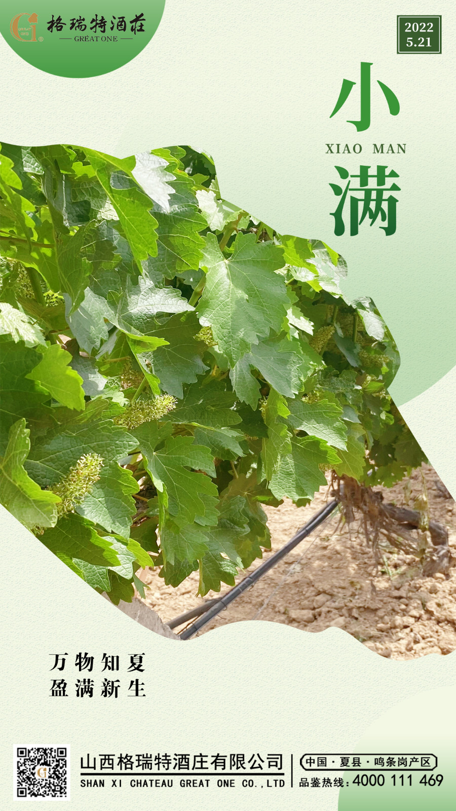 小滿(mǎn) 副本.JPG