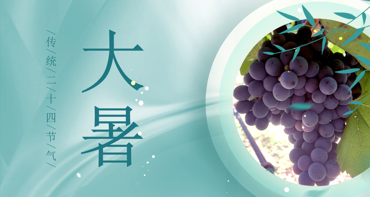 大暑 ▎時(shí)夏三伏盛，葡萄綴滿天