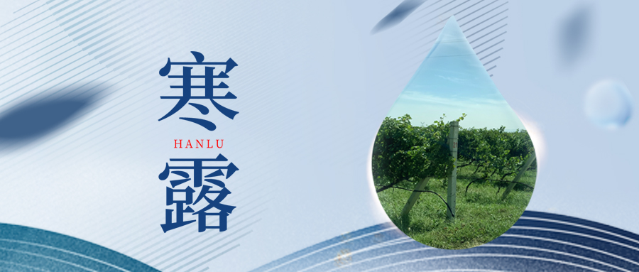 寒露丨夜露凝寒，萬物皆秋