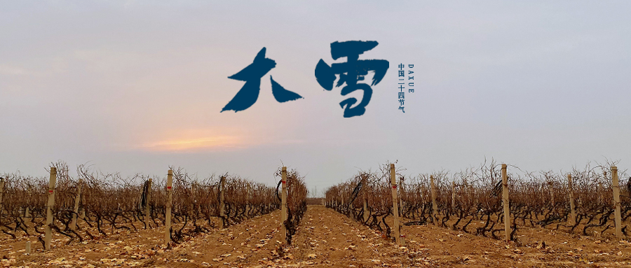 大雪 ▎世界留白，天地靜美