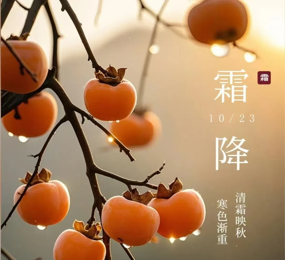 霜降||人間至此秋色盡，草木搖落露為霜